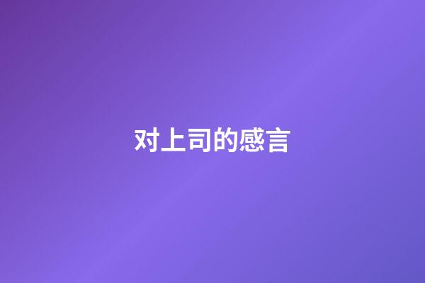 对上司的感言