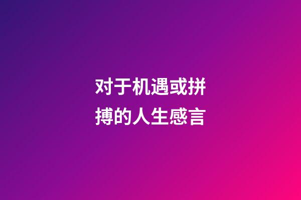 对于机遇或拼搏的人生感言