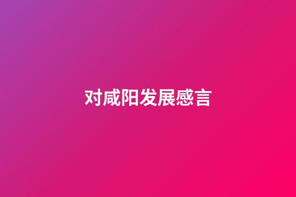 对咸阳发展感言