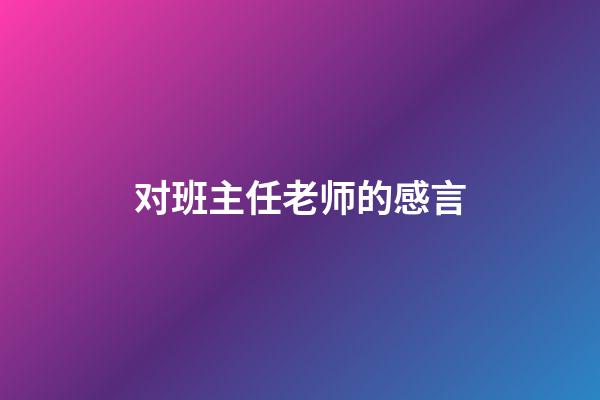 对班主任老师的感言