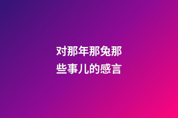 对那年那兔那些事儿的感言