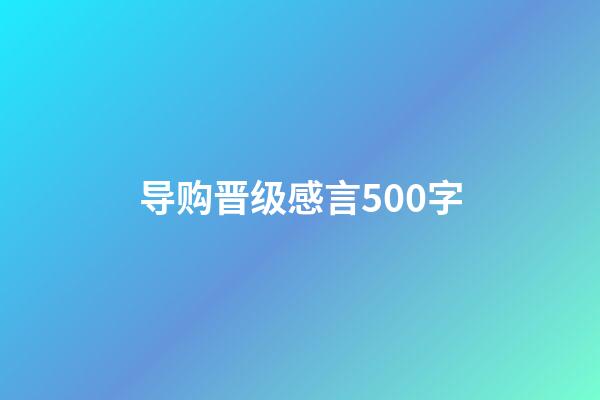 导购晋级感言500字