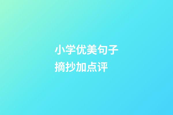 小学优美句子摘抄加点评