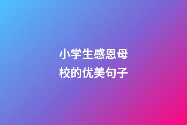 小学生感恩母校的优美句子