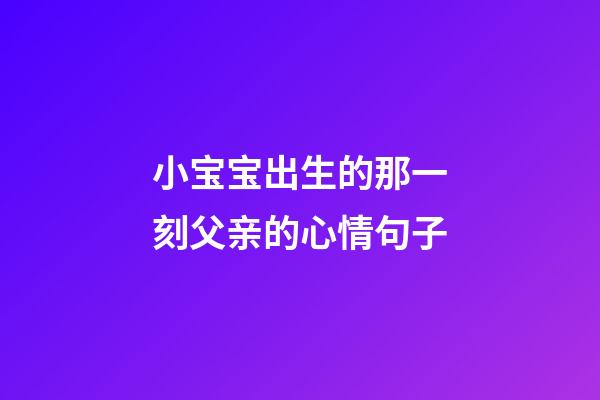 小宝宝出生的那一刻父亲的心情句子