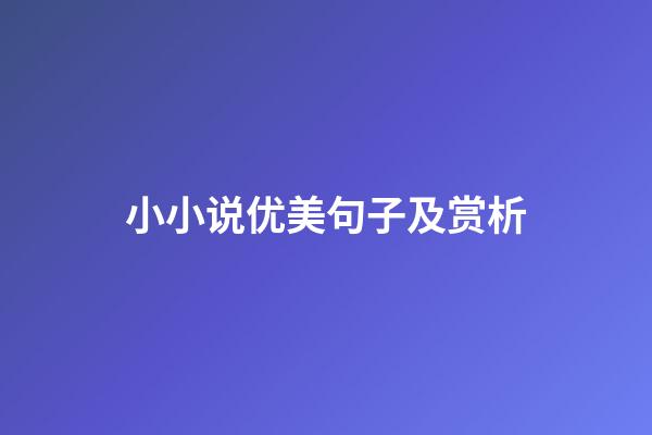 小小说优美句子及赏析