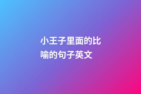 小王子里面的比喻的句子英文