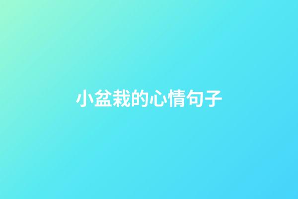 小盆栽的心情句子