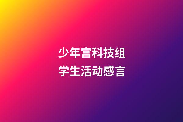 少年宫科技组学生活动感言