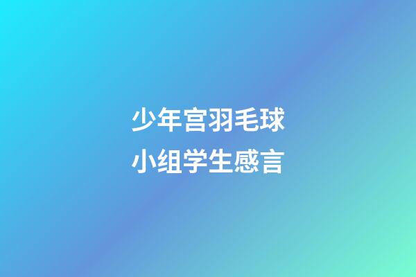 少年宫羽毛球小组学生感言