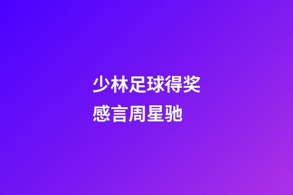 少林足球得奖感言周星驰