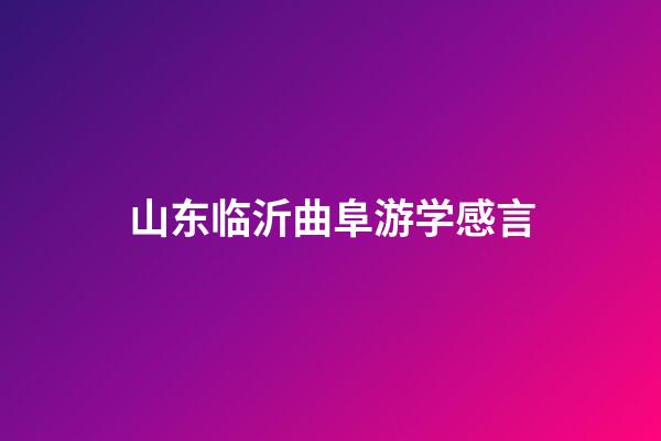 山东临沂曲阜游学感言