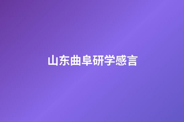 山东曲阜研学感言