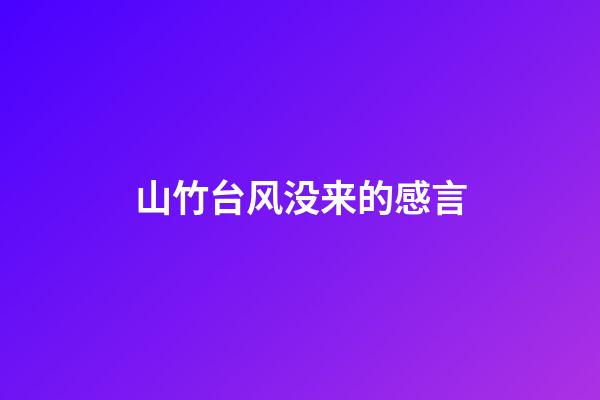 山竹台风没来的感言