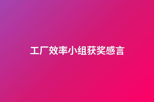 工厂效率小组获奖感言