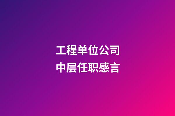 工程单位公司中层任职感言