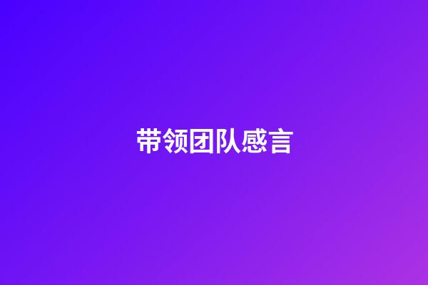 带领团队感言