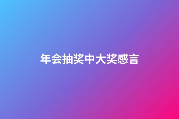 年会抽奖中大奖感言