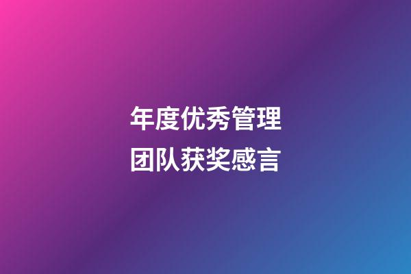 年度优秀管理团队获奖感言