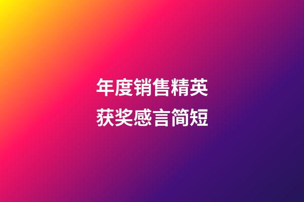 年度销售精英获奖感言简短