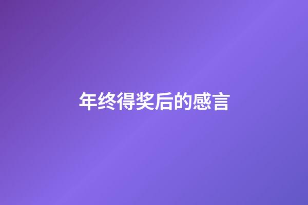 年终得奖后的感言