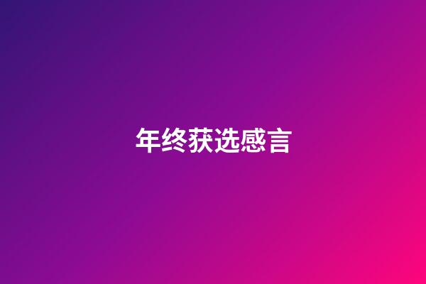 年终获选感言