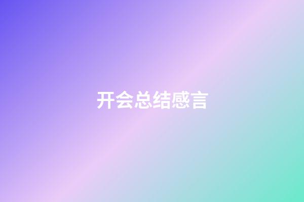 开会总结感言