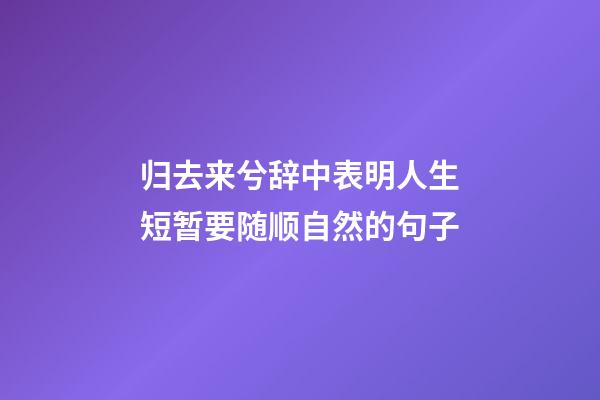 归去来兮辞中表明人生短暂要随顺自然的句子