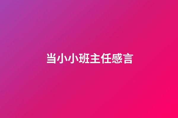 当小小班主任感言