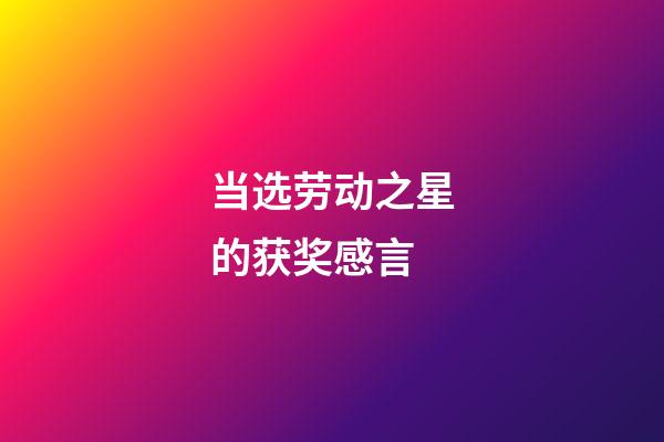 当选劳动之星的获奖感言