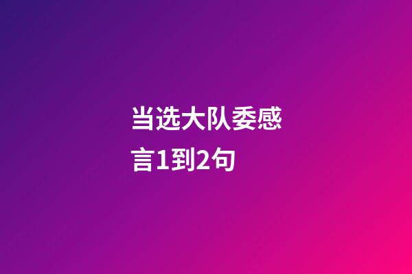 当选大队委感言1到2句