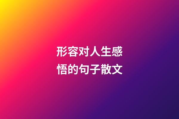 形容对人生感悟的句子散文