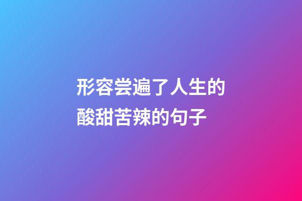 形容尝遍了人生的酸甜苦辣的句子