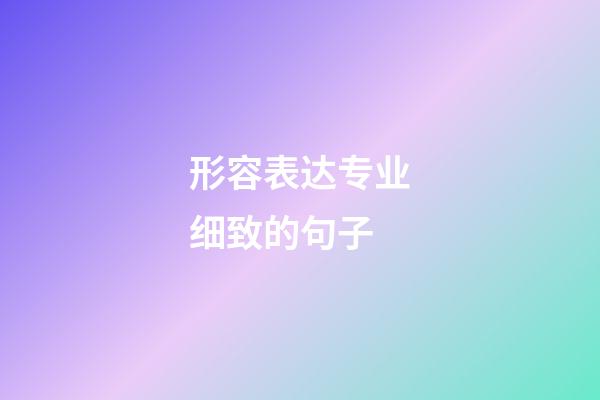 形容表达专业细致的句子