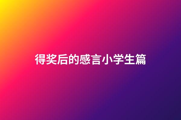 得奖后的感言小学生篇