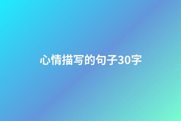 心情描写的句子30字