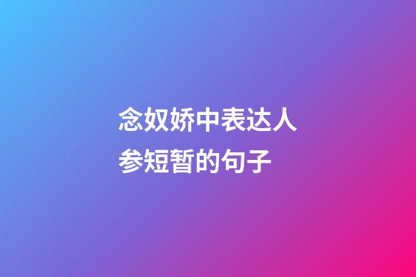 念奴娇中表达人参短暂的句子