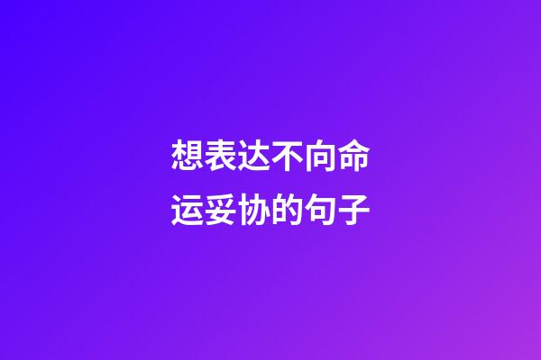 想表达不向命运妥协的句子