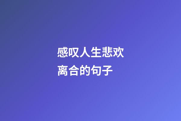 感叹人生悲欢离合的句子