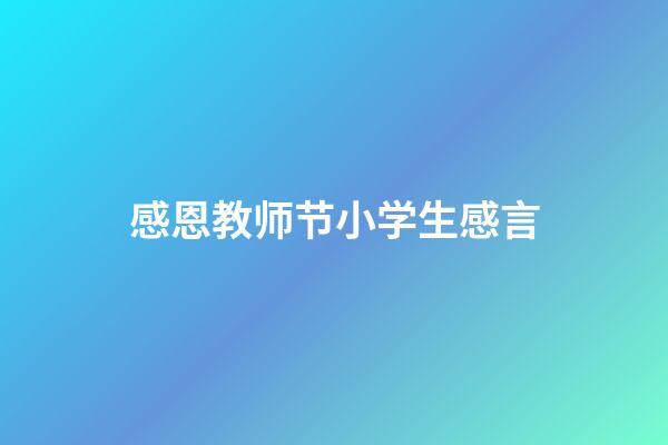 感恩教师节小学生感言