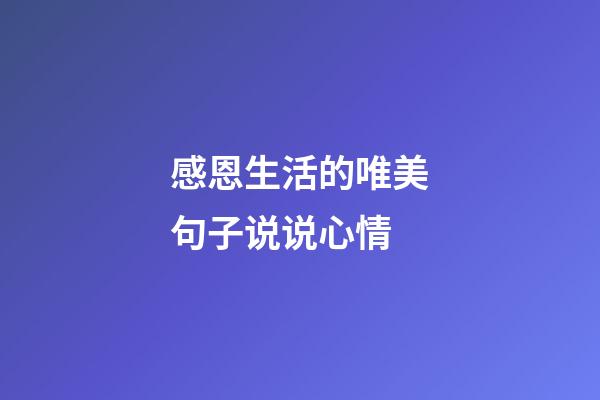 感恩生活的唯美句子说说心情