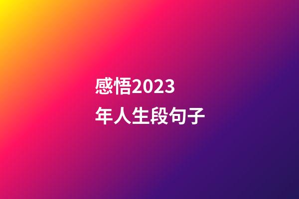 感悟2023年人生段句子