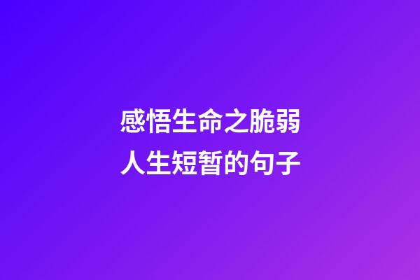 感悟生命之脆弱人生短暂的句子