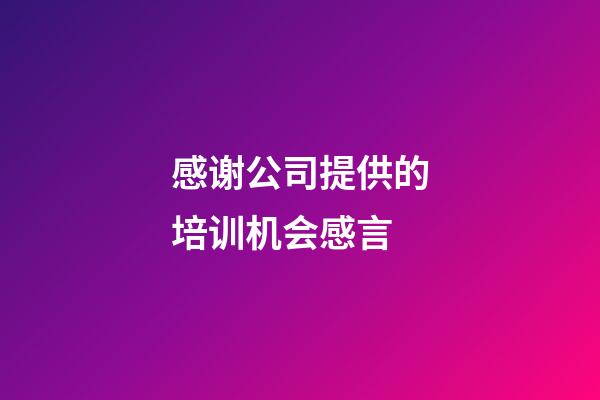 感谢公司提供的培训机会感言