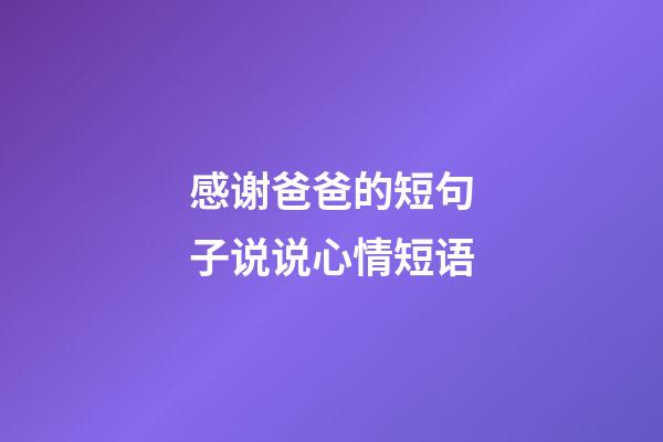 感谢爸爸的短句子说说心情短语