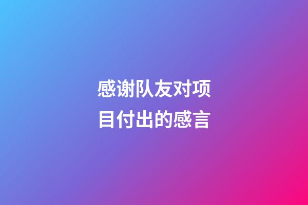 感谢队友对项目付出的感言