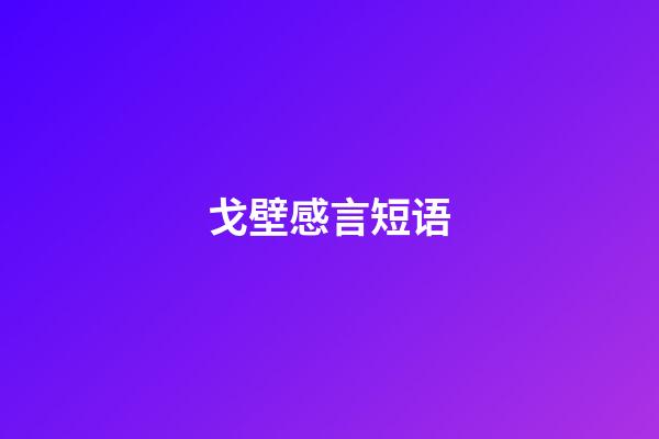 戈壁感言短语