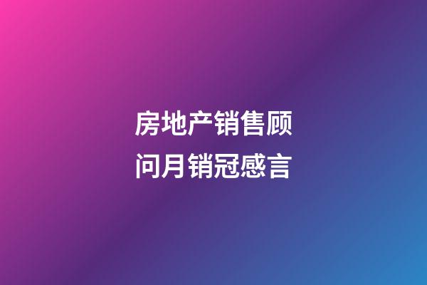 房地产销售顾问月销冠感言