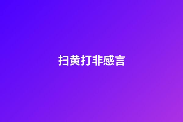 扫黄打非感言