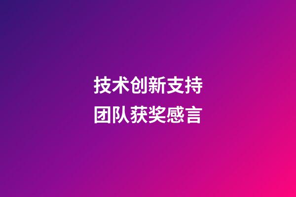 技术创新支持团队获奖感言